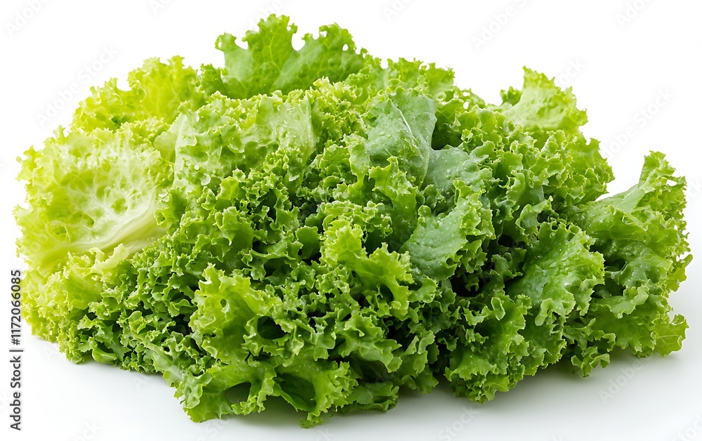 Fresh green lettuce leaves on white background, healthy food ingredient. Fresh green lettuce leaves on white background, healthy food ingredient.