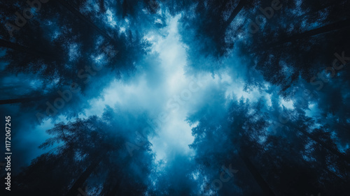 Mystical Forest Canopy  A breathtaking low-angle view  showcasing a dense forest shrouded in an ethereal blue mist. The scene evokes a sense of mystery and wonder.