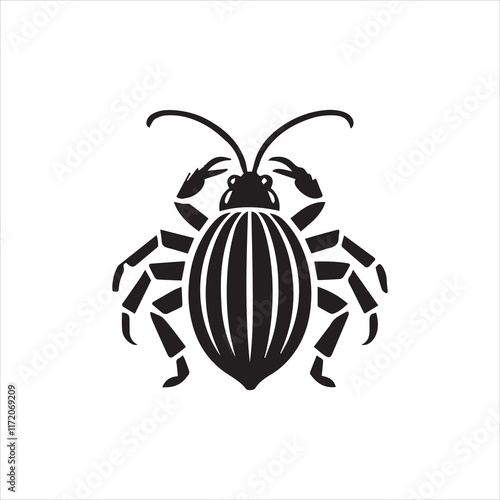 state potato beetle