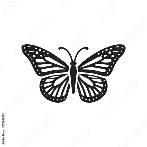 butterfly on white background