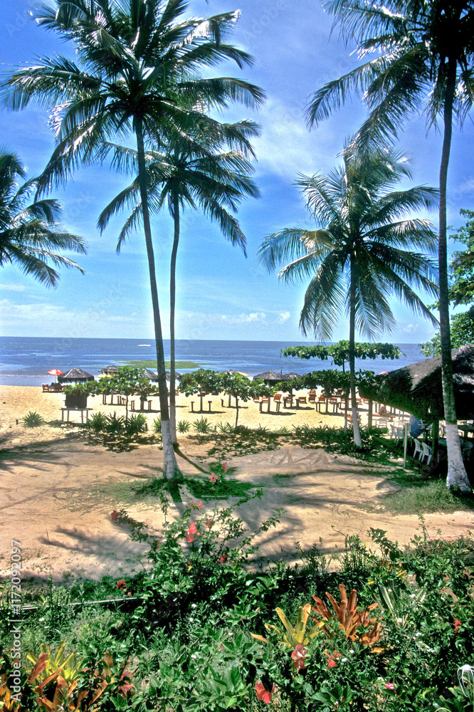 Obraz premium Praia em Porto Seguro, Bahia. .