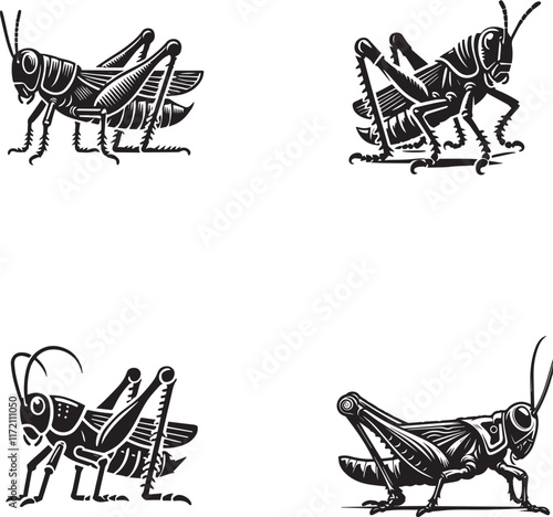 Grasshopper Silhouettes Collection - Detailed Insect Vector Illustrations