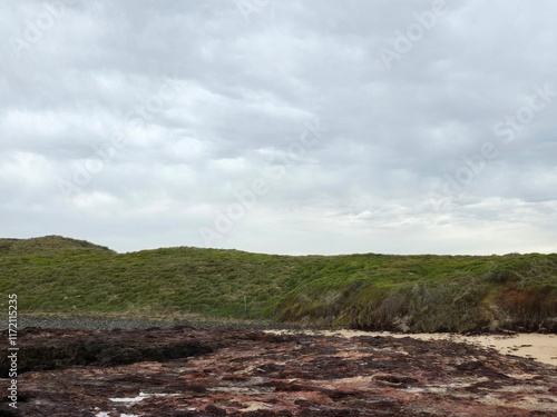 Scenic Coastal Landscape at Forest Caves, Australia with Rocky Shoreline and Lush Green Hills Under Cloudy Sky