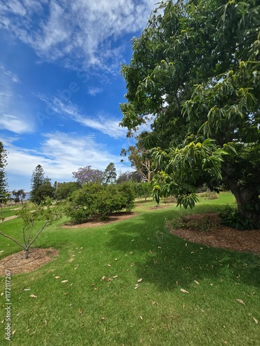 Scenic Park Landscape at Phillip Island, Australia with Lush Greenery, Pathway, and Blue Sky