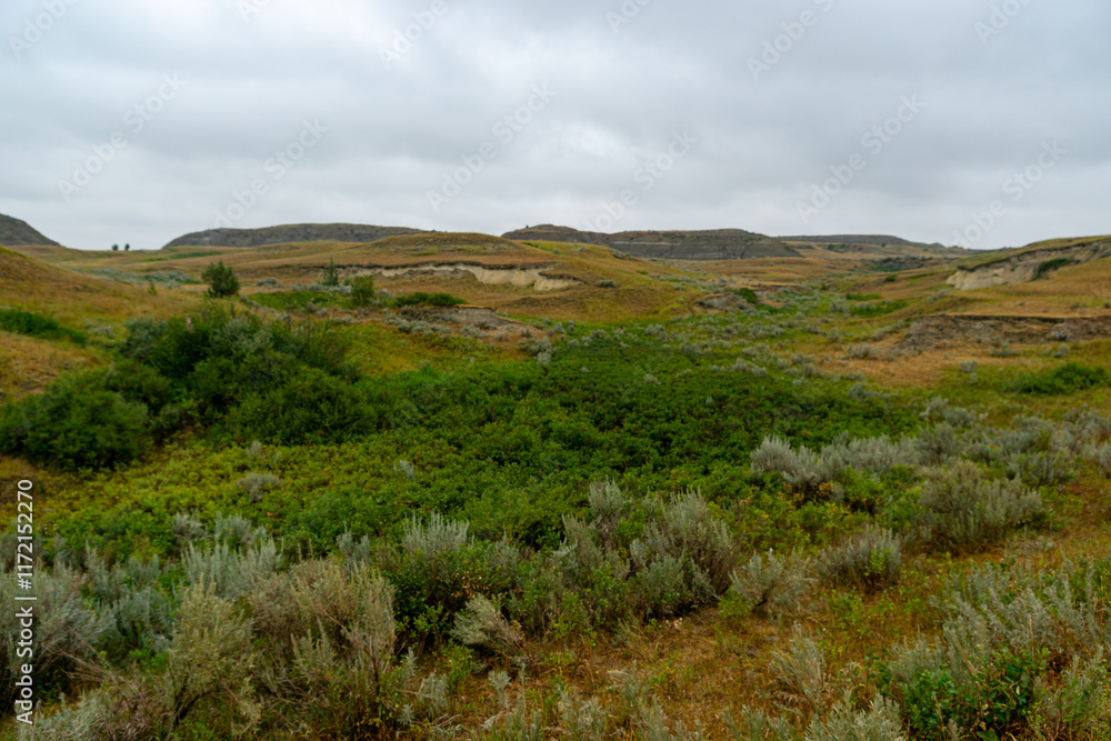 Naklejka premium Elkhorn Ranch