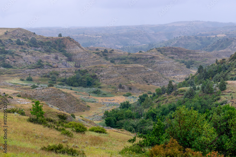 Fototapeta premium Elkhorn Ranch