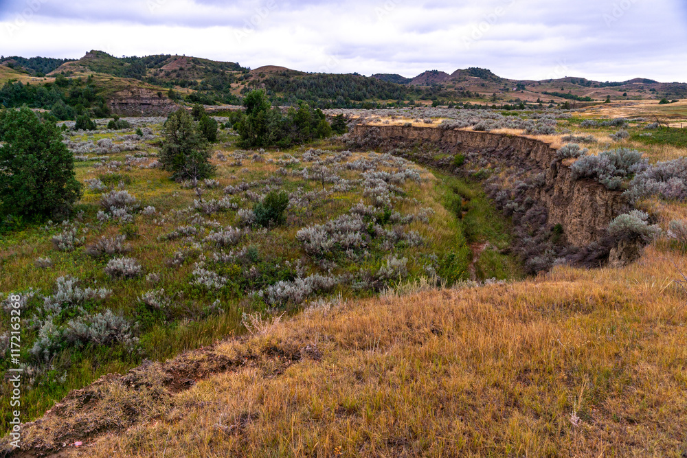 Obraz premium Lower Paddock Creek