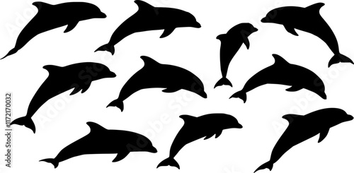 set of dolphin silhouettes. vector set. PNG white background