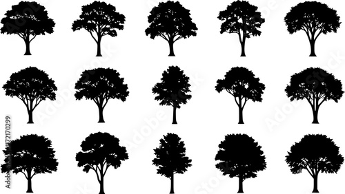 various deciduous trees silhouettes on the white background. vector set. PNG white background