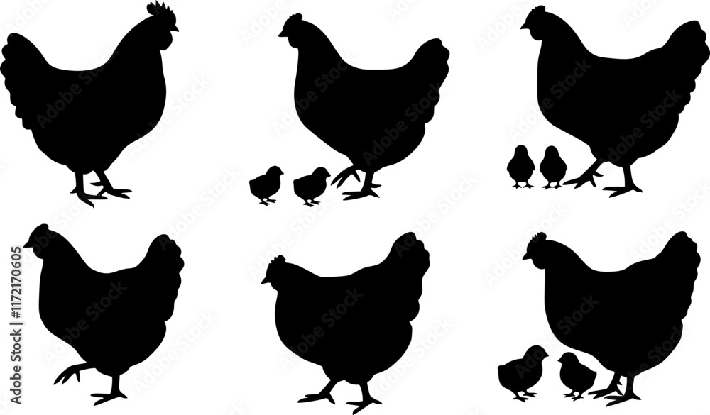 Fototapeta premium chicken silhouettes. vector set. PNG white background 