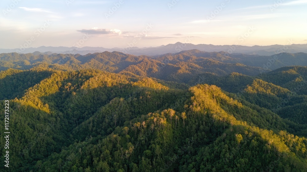 A panoramic shot of a forested mountain range during golden hour, with vibrant lighting. A panoramic shot of a forested mountain range during golden hour, with vibrant lighting.