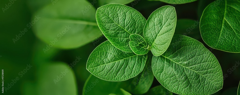 food tech sustainability. AI-Generated Climate-Resilient Crops Designing plant varieties that thrive under changing environmental conditions food tech sustainability. AI-Generated Climate-Resilient Crops Designing plant varieties that thrive under changing environmental conditions