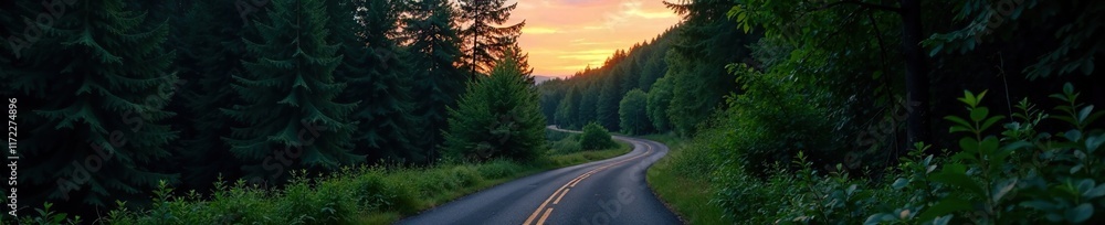 Dense forest at dusk with a winding road in the distance, forest, atmosphere, foliage Dense forest at dusk with a winding road in the distance, forest, atmosphere, foliage