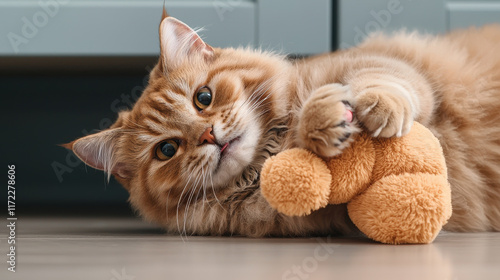 Playful orange cat lying on floor with soft toy, looking curious and relaxed