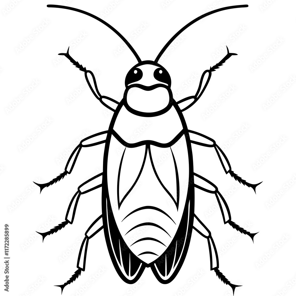 black beetle isolated on white background black beetle isolated on white background