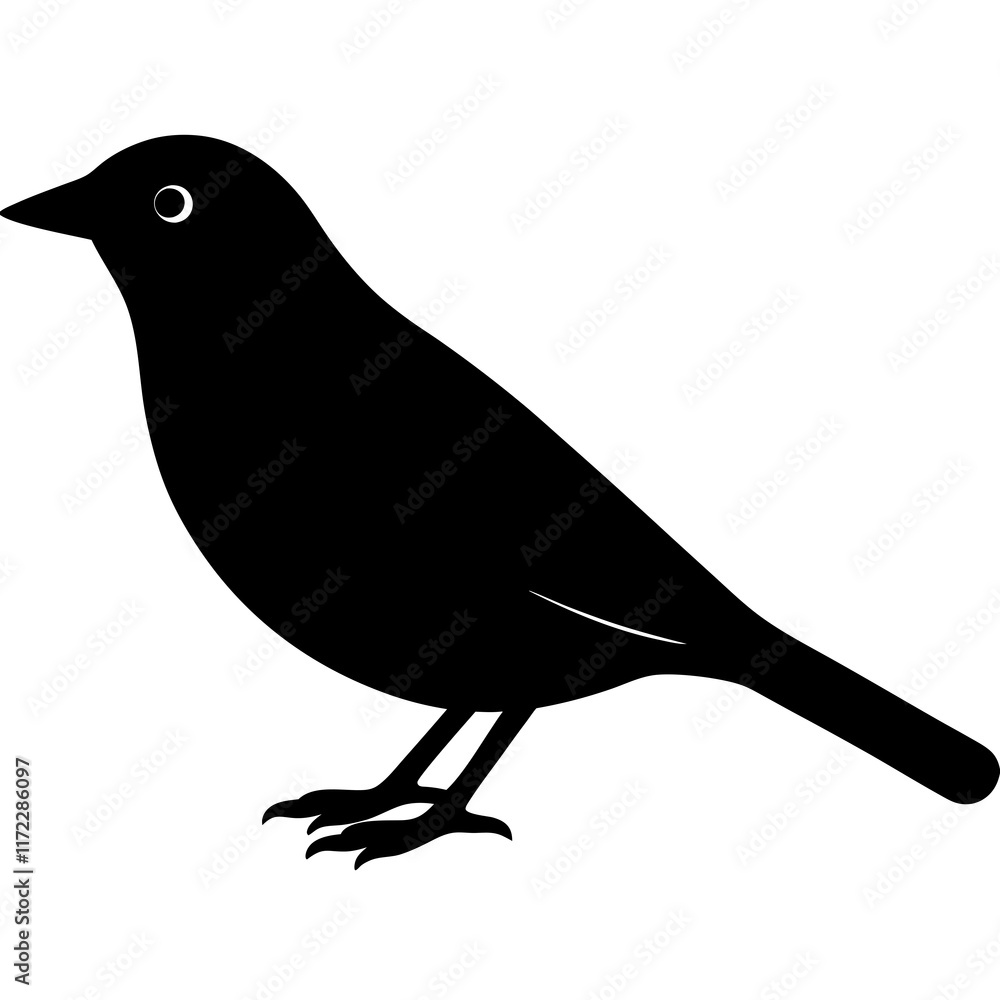 Obraz premium bird on a branch