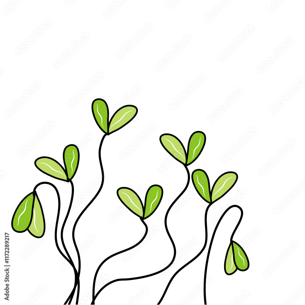 sprouted grains and micro greens vector sprouted grains and micro greens vector