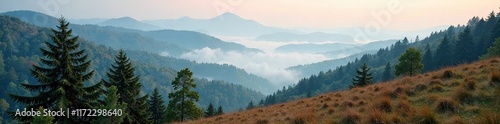 Trees in foggy valley near Roseberry Topping hilltop, landscape, forest, valleys photo