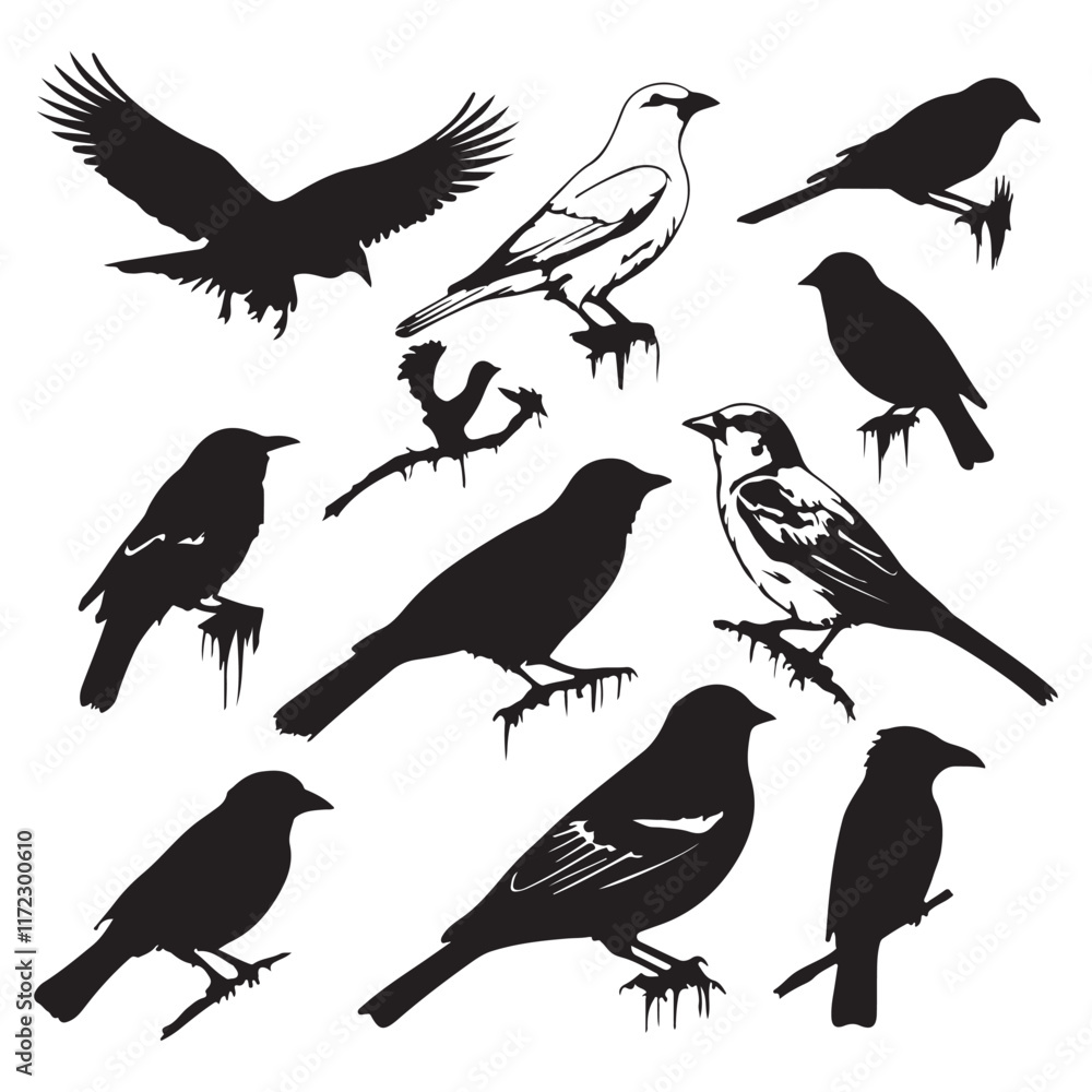 Fototapeta premium Silhouette vector Birds and animals