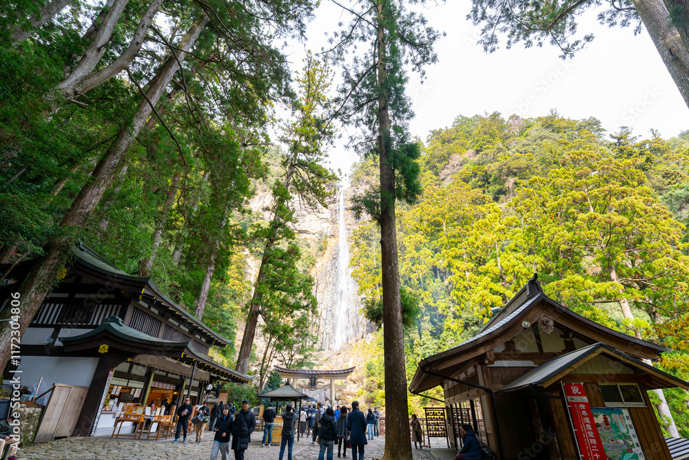 和歌山県　那智の滝の風景(2024年12月)