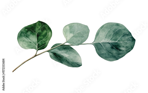 A close-up of green leaves on a light background