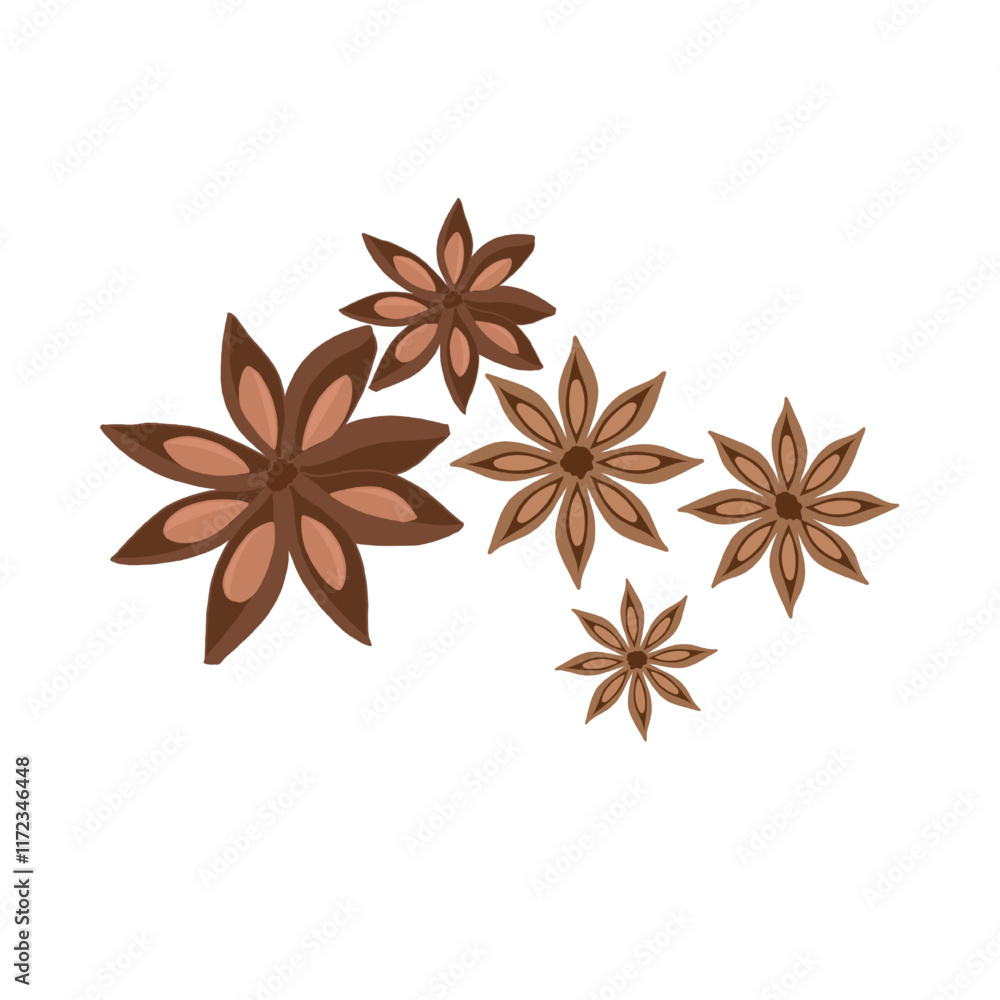 Star Anise illustration vector