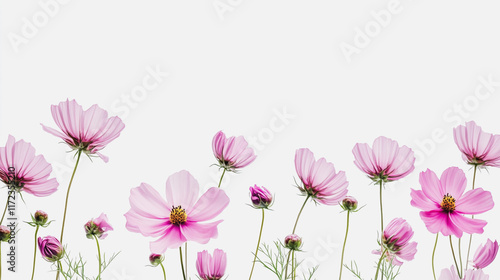 Wallpaper Mural Elegant wedding invitation card background vector. Minimal hand painted watercolor botanical flowers texture template background. Design for wedding, vip cover, poster, rsvp moderncard.Valentine's Day Torontodigital.ca