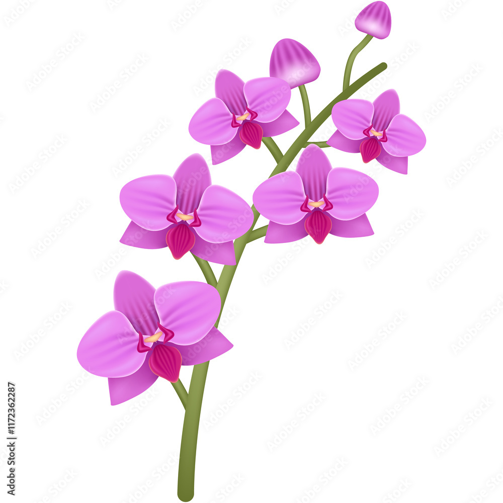 Orchid Flower Branch for Exotic Decorations Orchid Flower Branch for Exotic Decorations