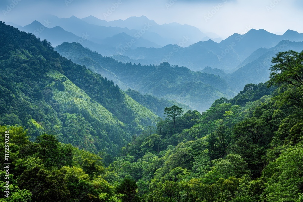 Lush Green Mountains Under a Cloudy Sky With Layers of Blue-Hued Peaks in the Distance Lush Green Mountains Under a Cloudy Sky With Layers of Blue-Hued Peaks in the Distance