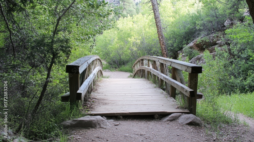 Serene wooden bridge over lush greenery on Navaho Loop Trail inviting nature walks and outdoor exploration Serene wooden bridge over lush greenery on Navaho Loop Trail inviting nature walks and outdoor exploration
