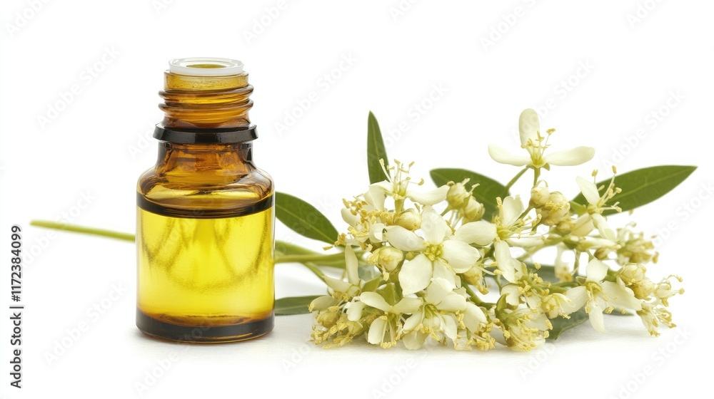 Neem essential oil bottle with fresh neem flowers isolated on a white background showcasing natural remedies and wellness products Neem essential oil bottle with fresh neem flowers isolated on a white background showcasing natural remedies and wellness products