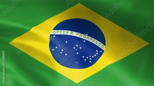 BRAZIL FLAG