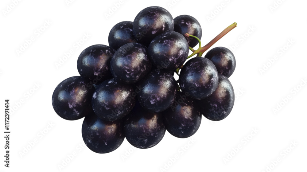 bunch of black grapes isolated on white transparent background bunch of black grapes isolated on white transparent background