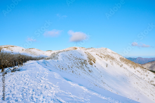 Wallpaper Mural 霊仙山の稜線 Torontodigital.ca