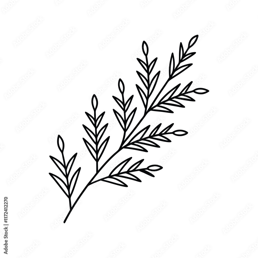 Obraz premium Christmas holy leaves illustration vector, Merry Christmas ClipArt Design, holy leaves Lineart Art 