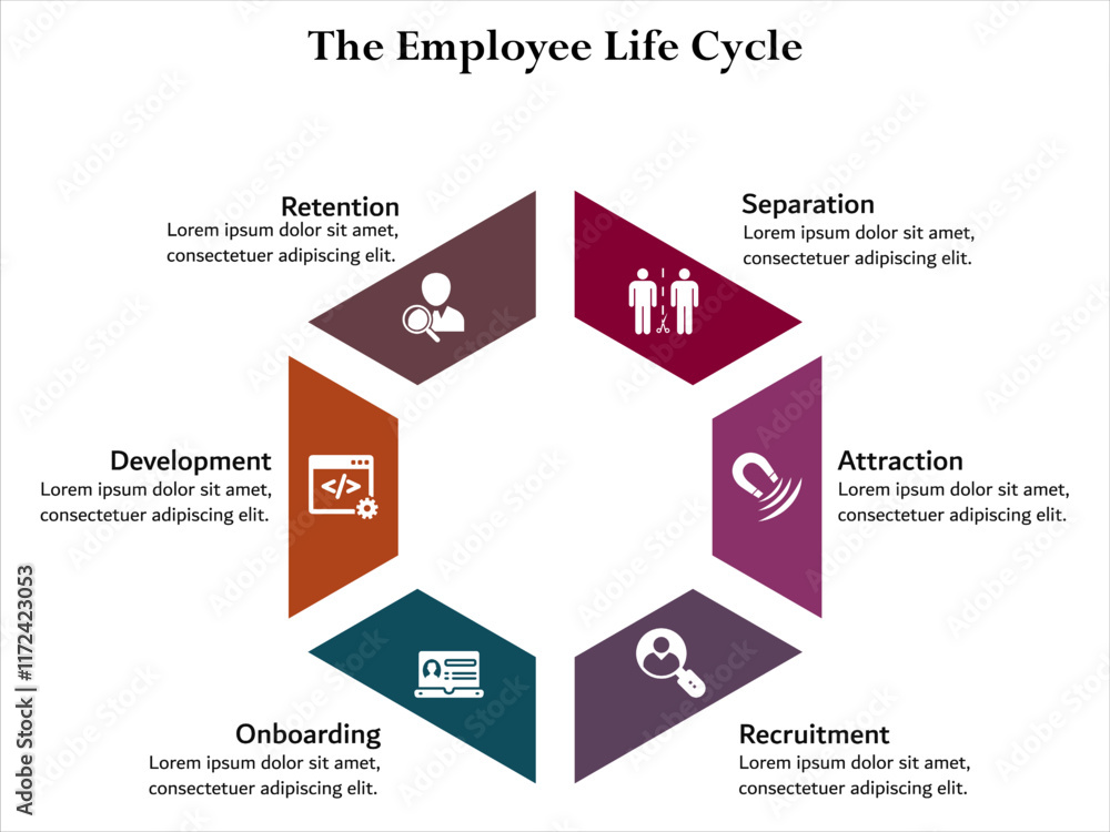 The Employee Life Cycle - Separation, Attraction, Recruitment, Onboarding, Development, Retention. Infographic template with icons and description placeholder The Employee Life Cycle - Separation, Attraction, Recruitment, Onboarding, Development, Retention. Infographic template with icons and description placeholder