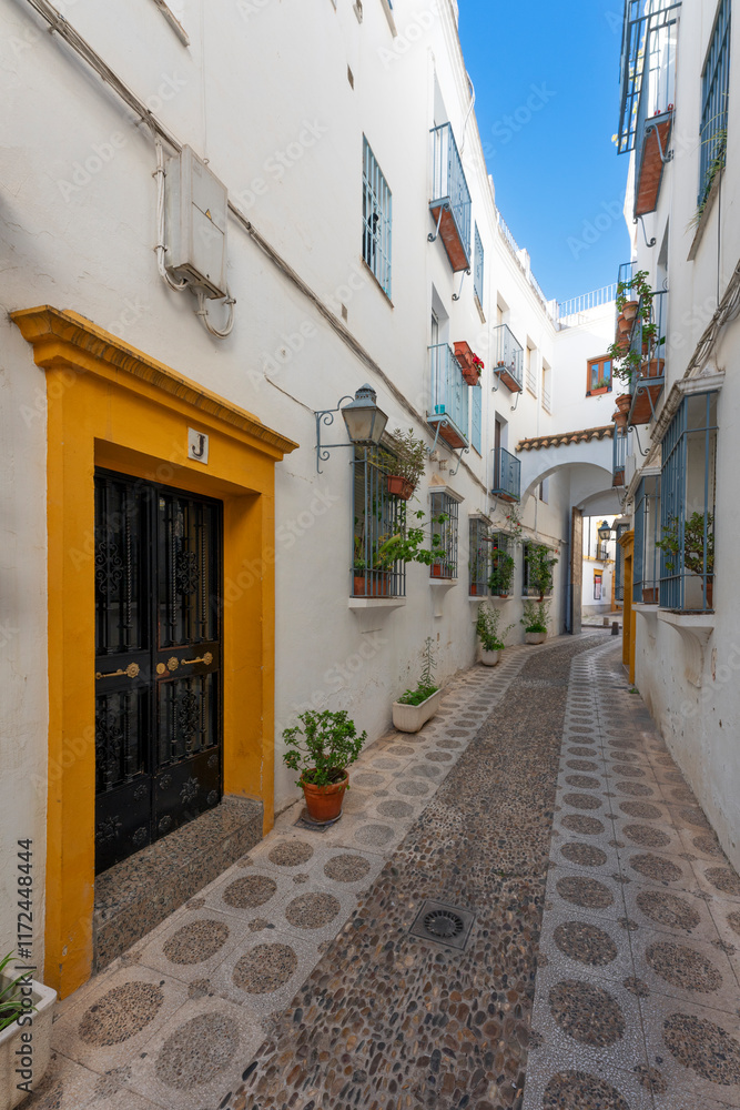Fototapeta premium typical street in Cordoba