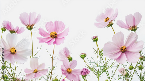 Wallpaper Mural Elegant wedding invitation card background vector. Minimal hand painted watercolor botanical flowers texture template background. Design for wedding, vip cover, poster, rsvp moderncard.Valentine's Day Torontodigital.ca