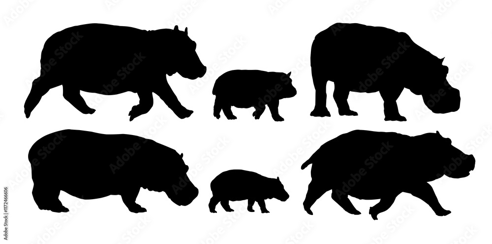 Fototapeta premium The set silhouette of large hippos. 