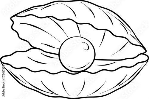 Open Clam Shell with Pearl Ocean Treasure, Natures Gem
