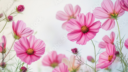 Wallpaper Mural Elegant wedding invitation card background vector. Minimal hand painted watercolor botanical flowers texture template background. Design for wedding, vip cover, poster, rsvp moderncard.Valentine's Day Torontodigital.ca