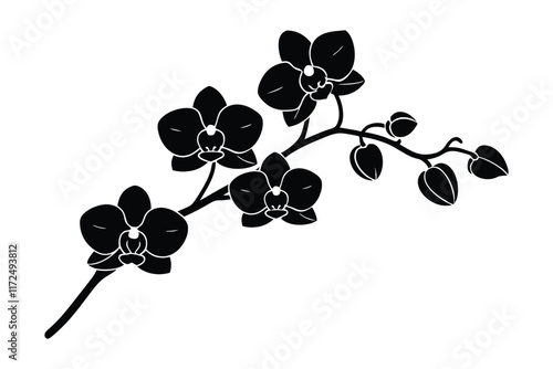 An orchid branch with flowers, unopened buds, and a stem vector art silhouette illustration