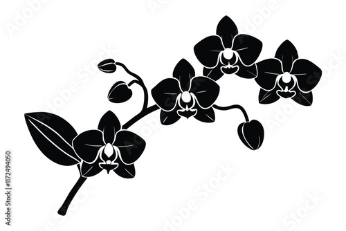 An orchid branch with flowers, unopened buds, and a stem vector art silhouette illustration