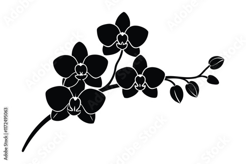 An orchid branch with flowers, unopened buds, and a stem vector art silhouette illustration