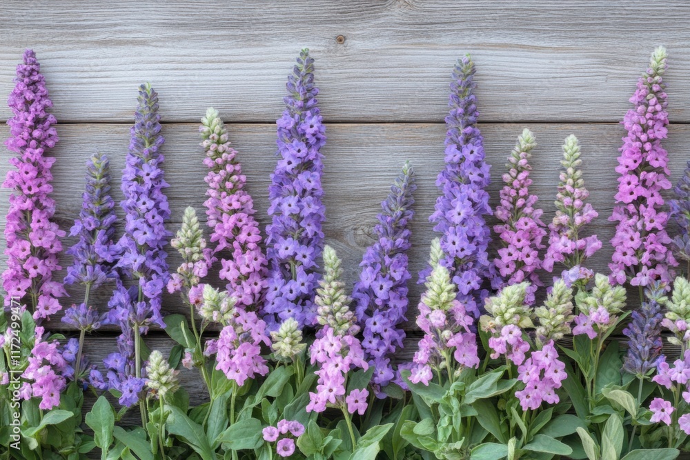 Naklejka premium Purple and Pink Flowers on Grey Wood Background