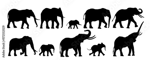 Photography Set silhouettes of large and small Elephants.