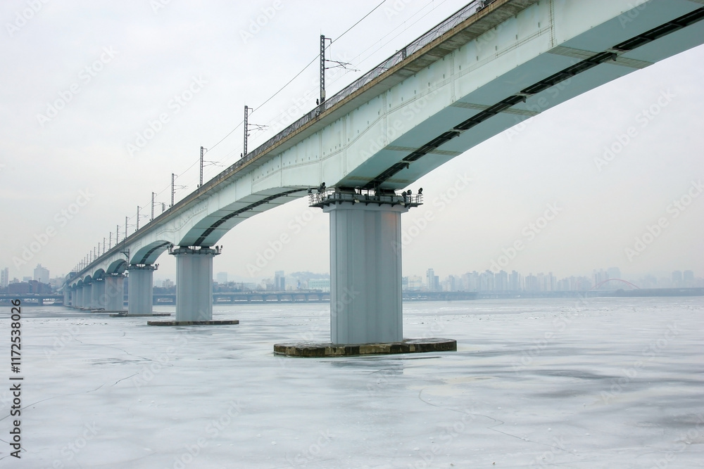 Fototapeta premium 눈과 얼음으로 가득한 한강과 당산철교