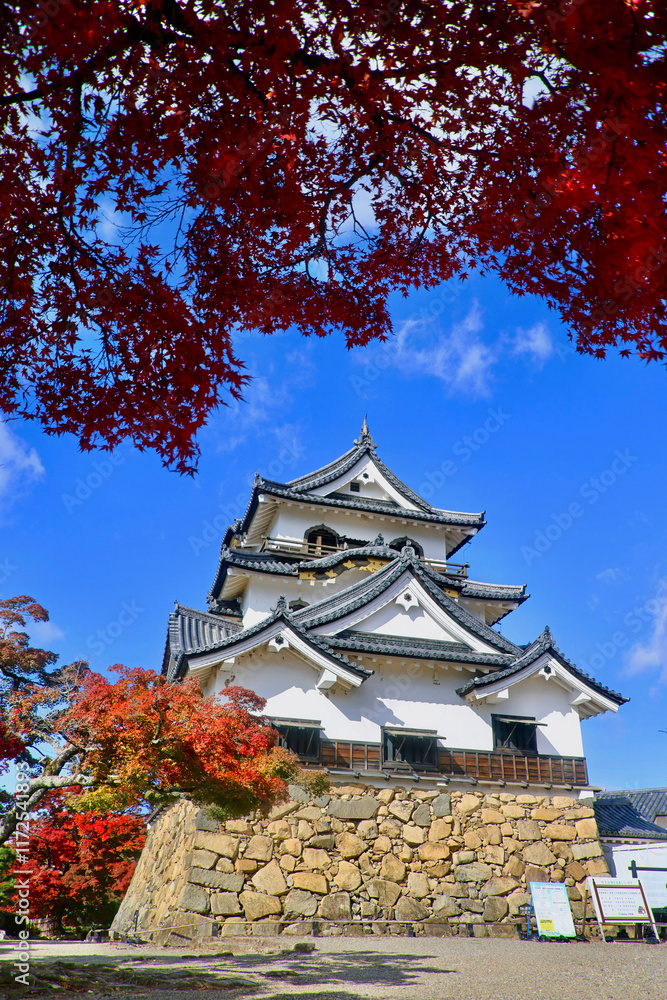 国宝・彦根城・紅葉(滋賀県・彦根市) 国宝・彦根城・紅葉(滋賀県・彦根市)
