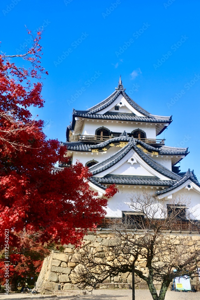 国宝・彦根城・紅葉(滋賀県・彦根市) 国宝・彦根城・紅葉(滋賀県・彦根市)