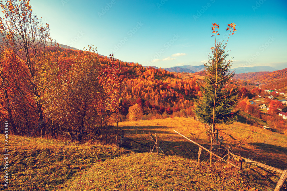 View of colorful mountain slopes on a sunny autumn day. Beautiful landscape. Carpathian Mountains, Carpathian Rus, Ukraine